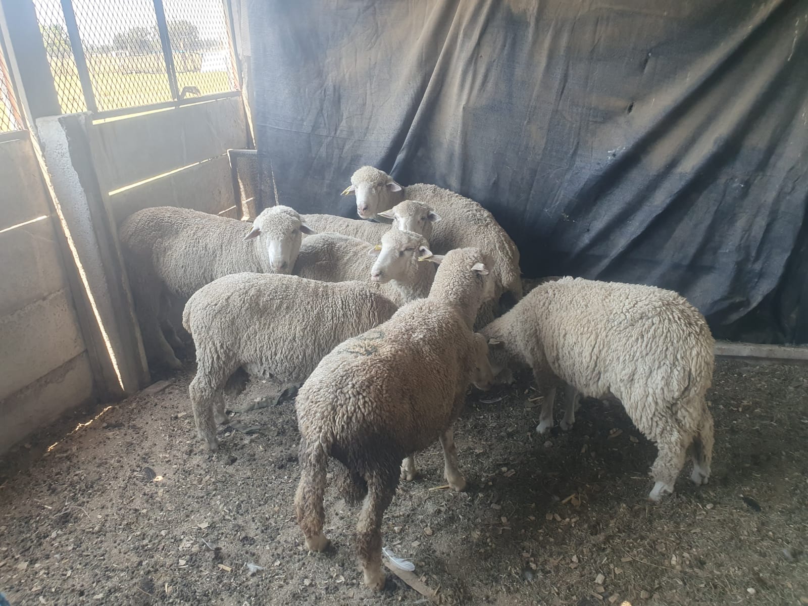 Lot 130 Feb 24