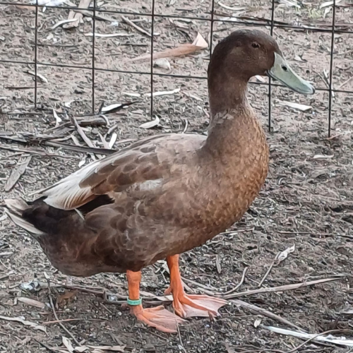 Lot 70 Apr 24