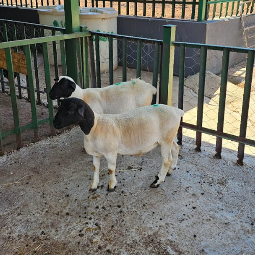 Lot 147 Apr 24
