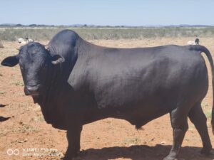 Lot 140 Apr 24