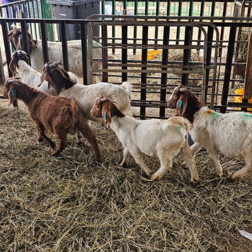 Lot 120 Apr 24