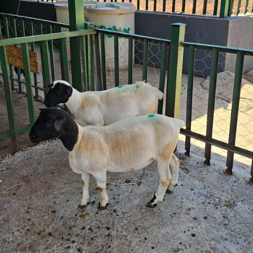 Lot 118 Apr 24