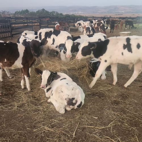 Lot 5 May 24