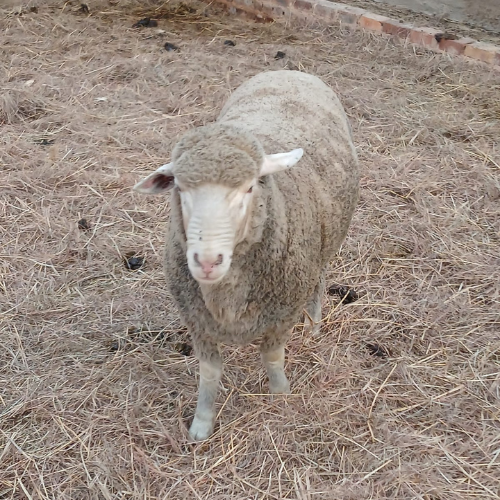 Lot 9 May 24