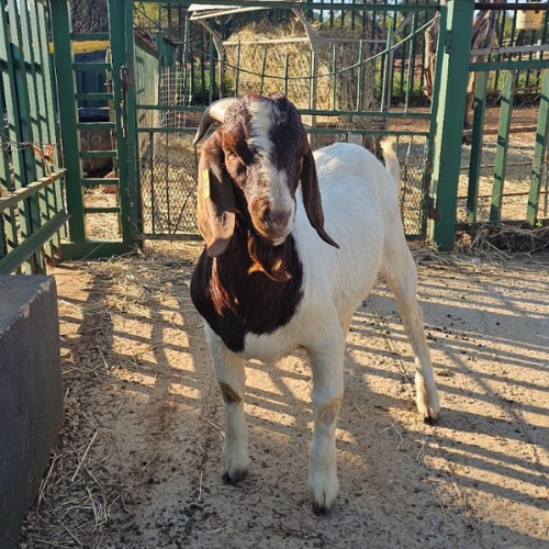 Lot 57 May 24