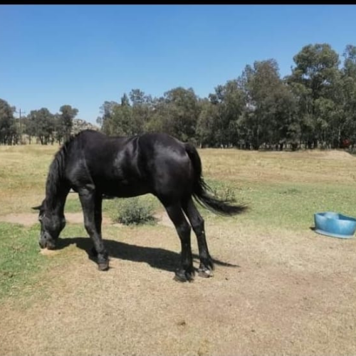Lot 75 May 24