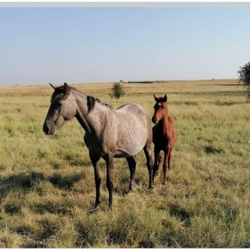 Lot 73 May 24