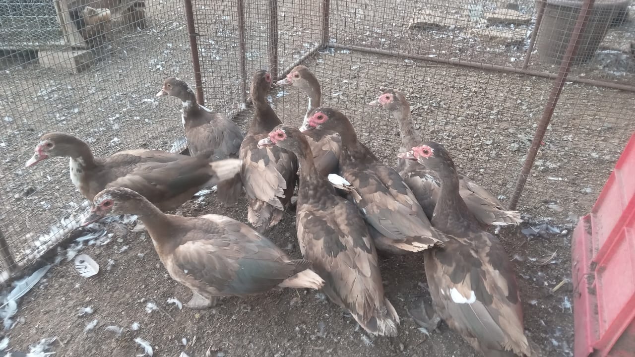 Lot 161 Feb 25