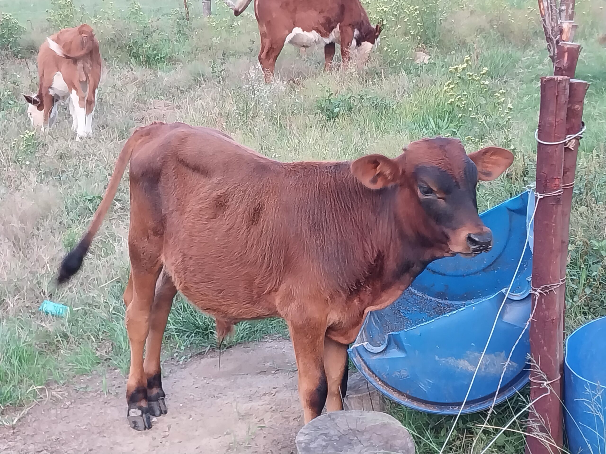 Lot 36 May 23