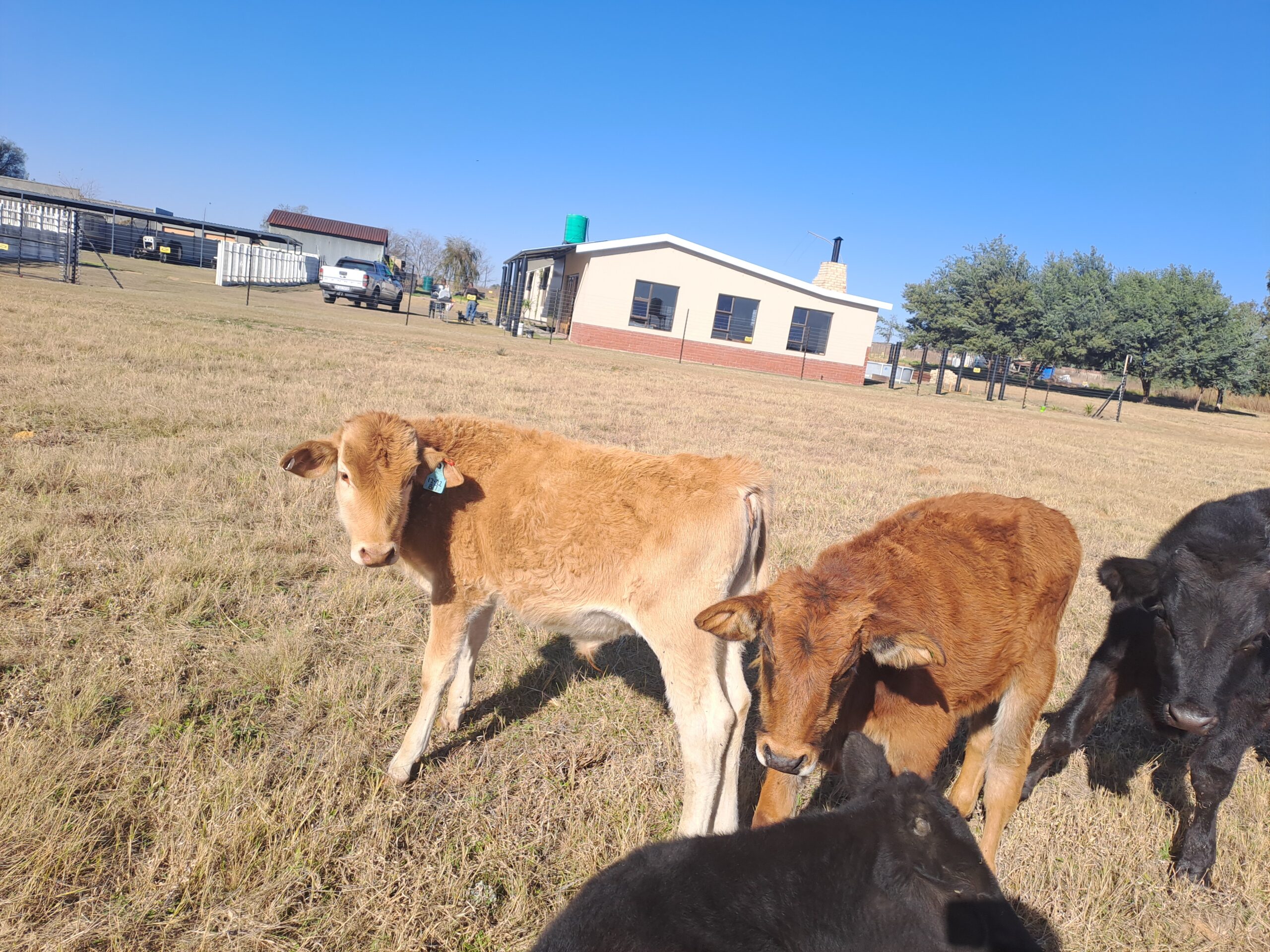 Lot 122 Jun 23