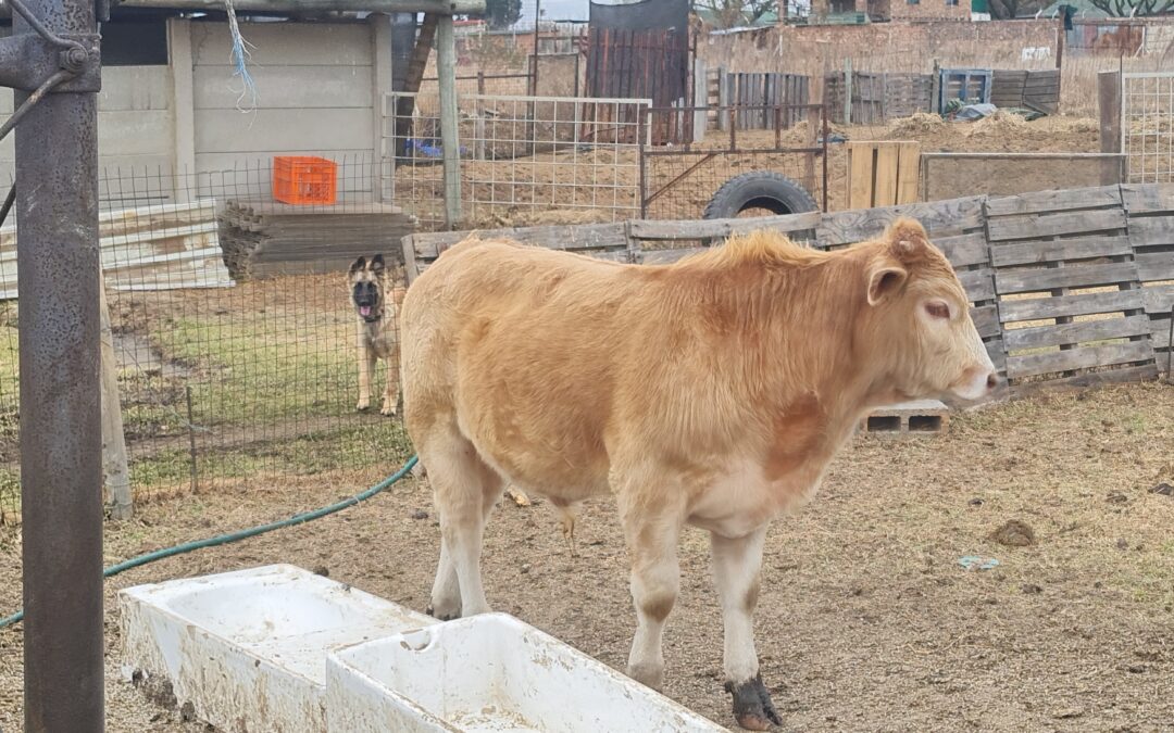 Lot 62 Jul 23