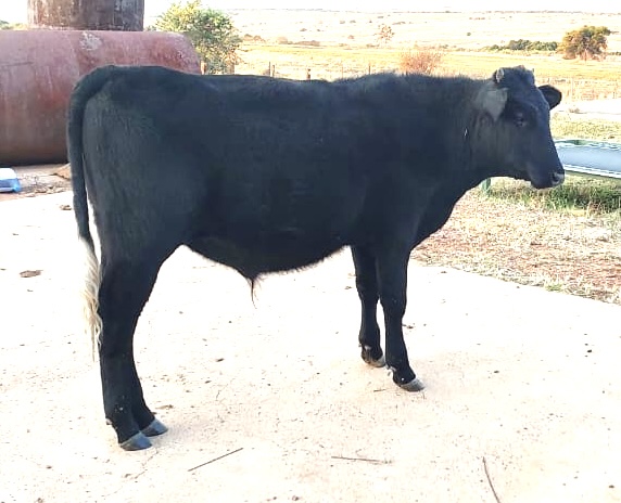 Lot 19 Jun 23