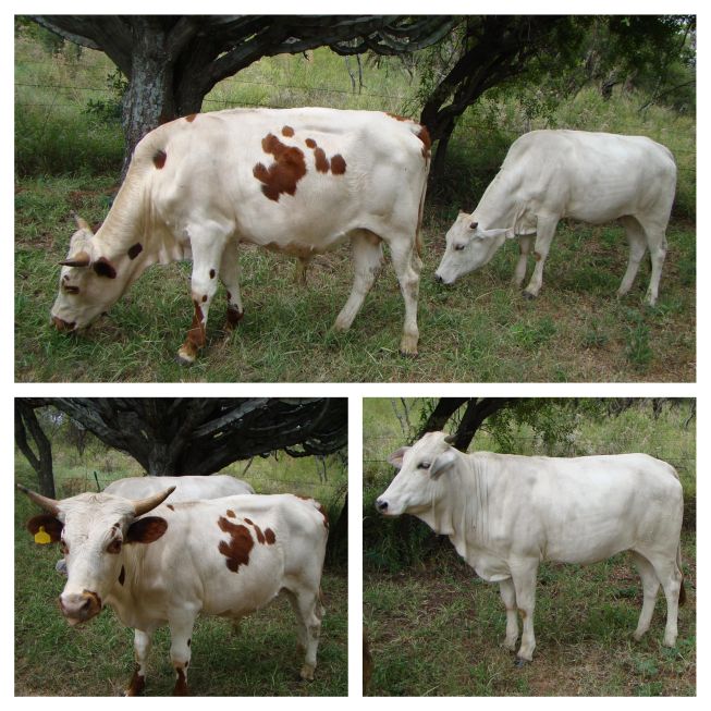 Lot 11 Apr 23