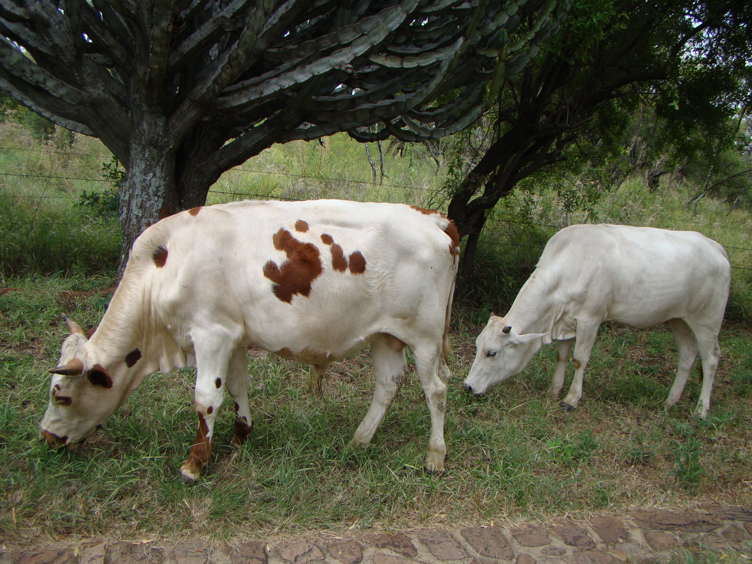 Lot 74 May 23