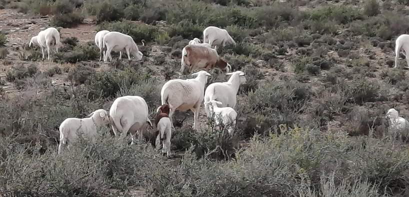 Lot 29 Aug 23