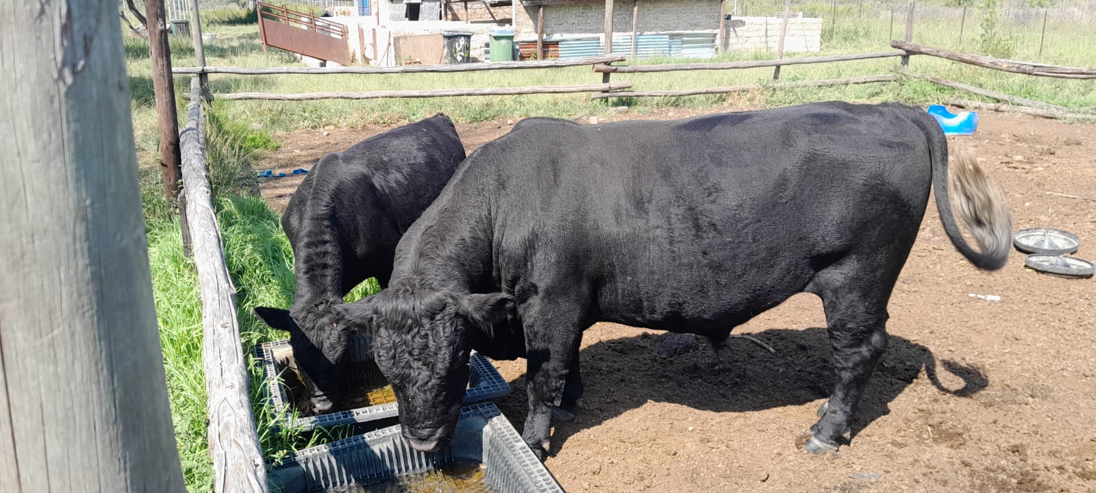 Lot 60 Apr 23