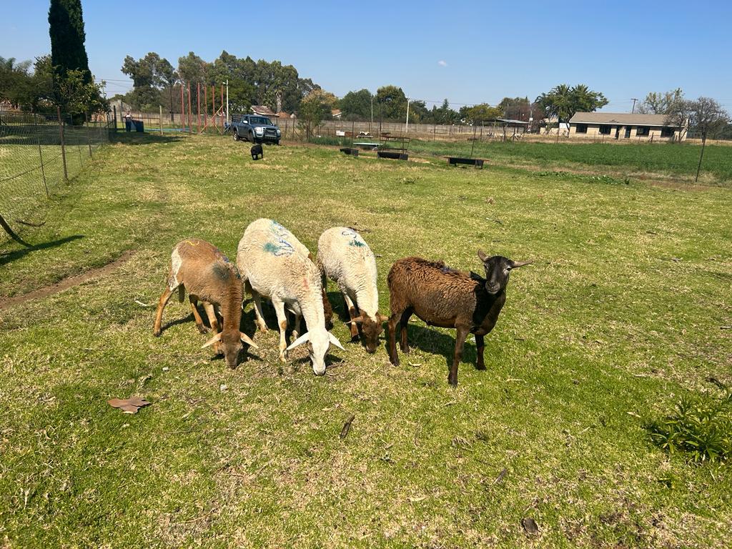 Lot 81 May 23