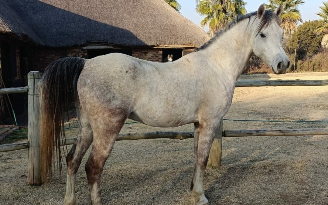Lot 16 Aug 23