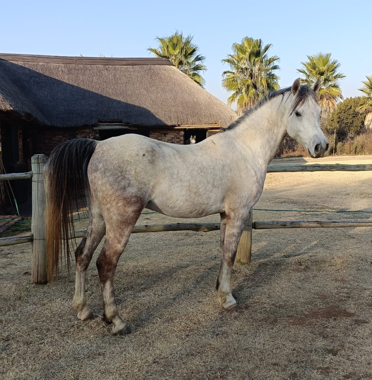 Lot 16 Aug 23