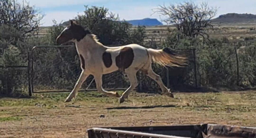 Lot 56 Aug 23