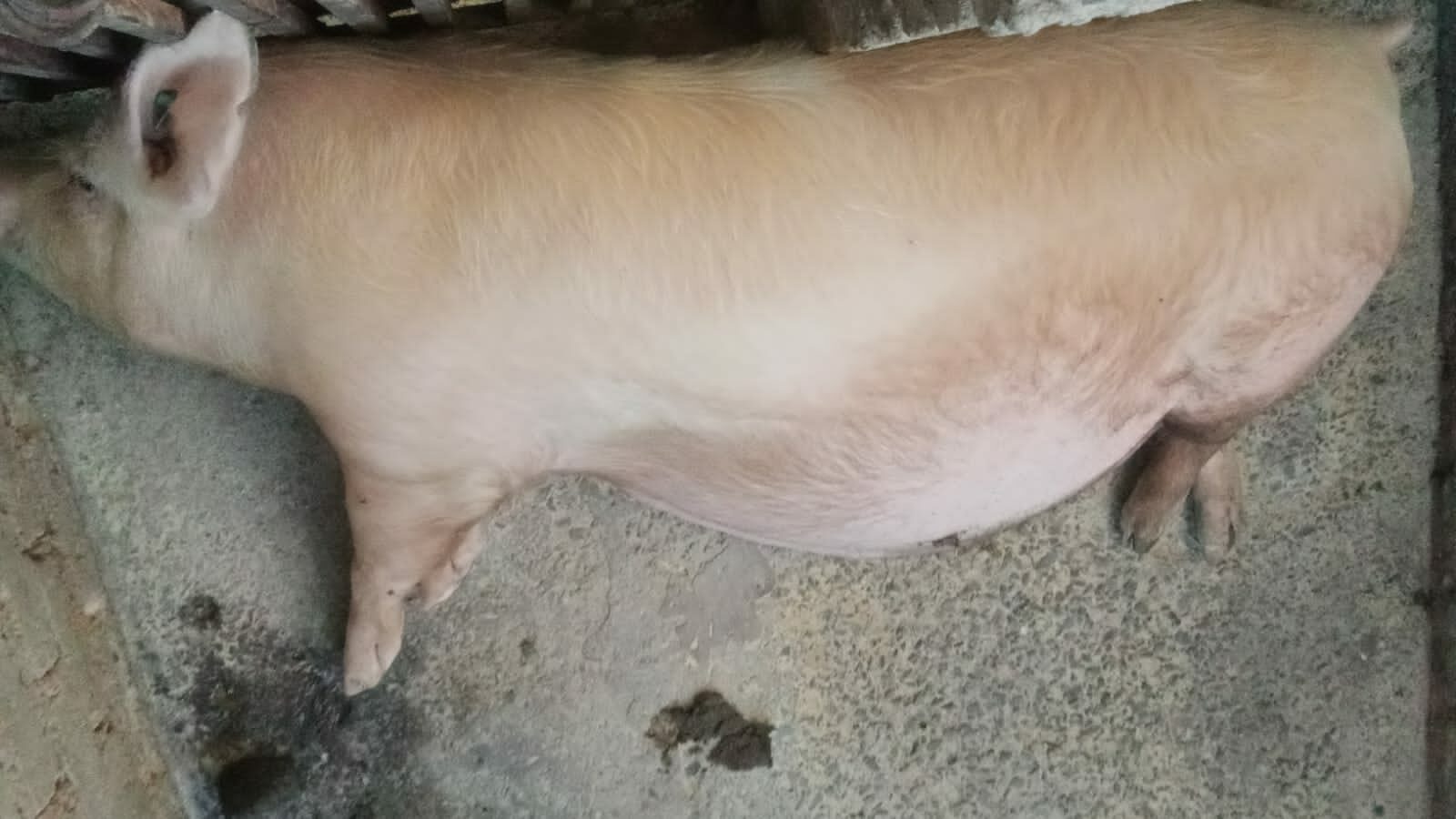 Lot 76 Aug 23