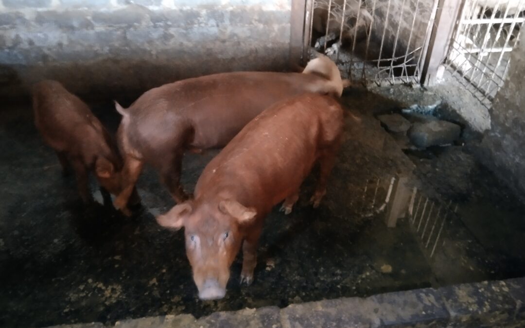Lot 35 Jun 23