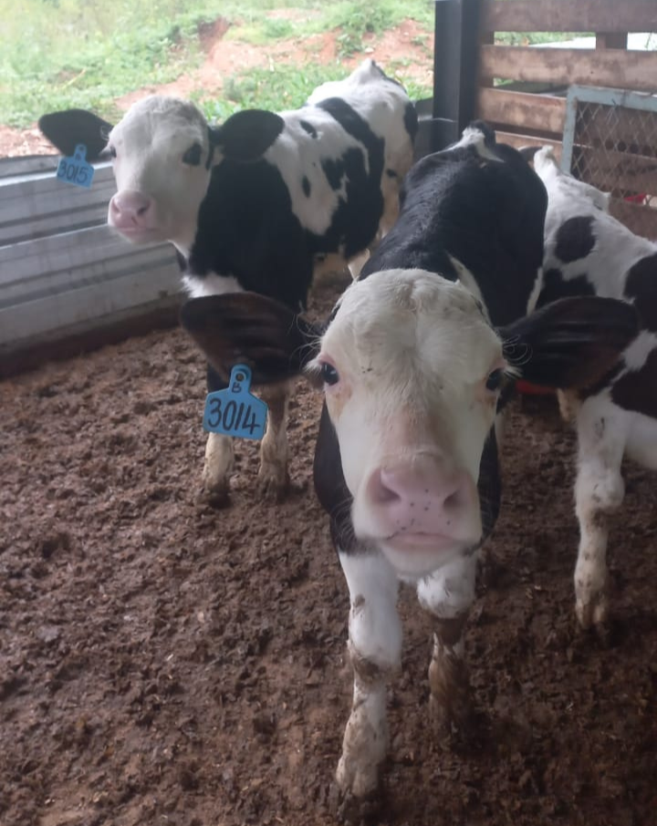 Lot 22 May 23