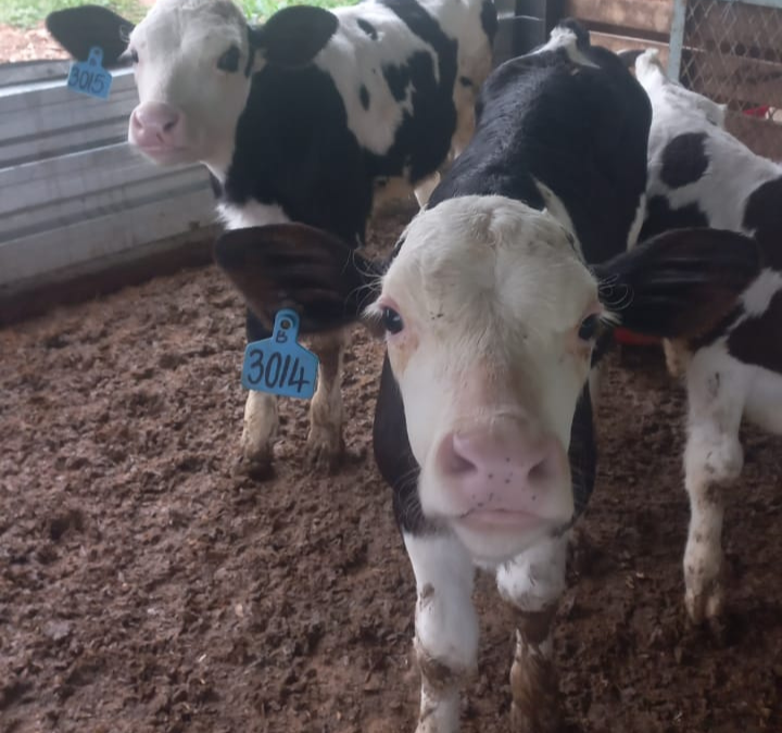 Lot 45 Apr 23