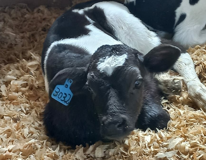 Lot 47 Apr 23