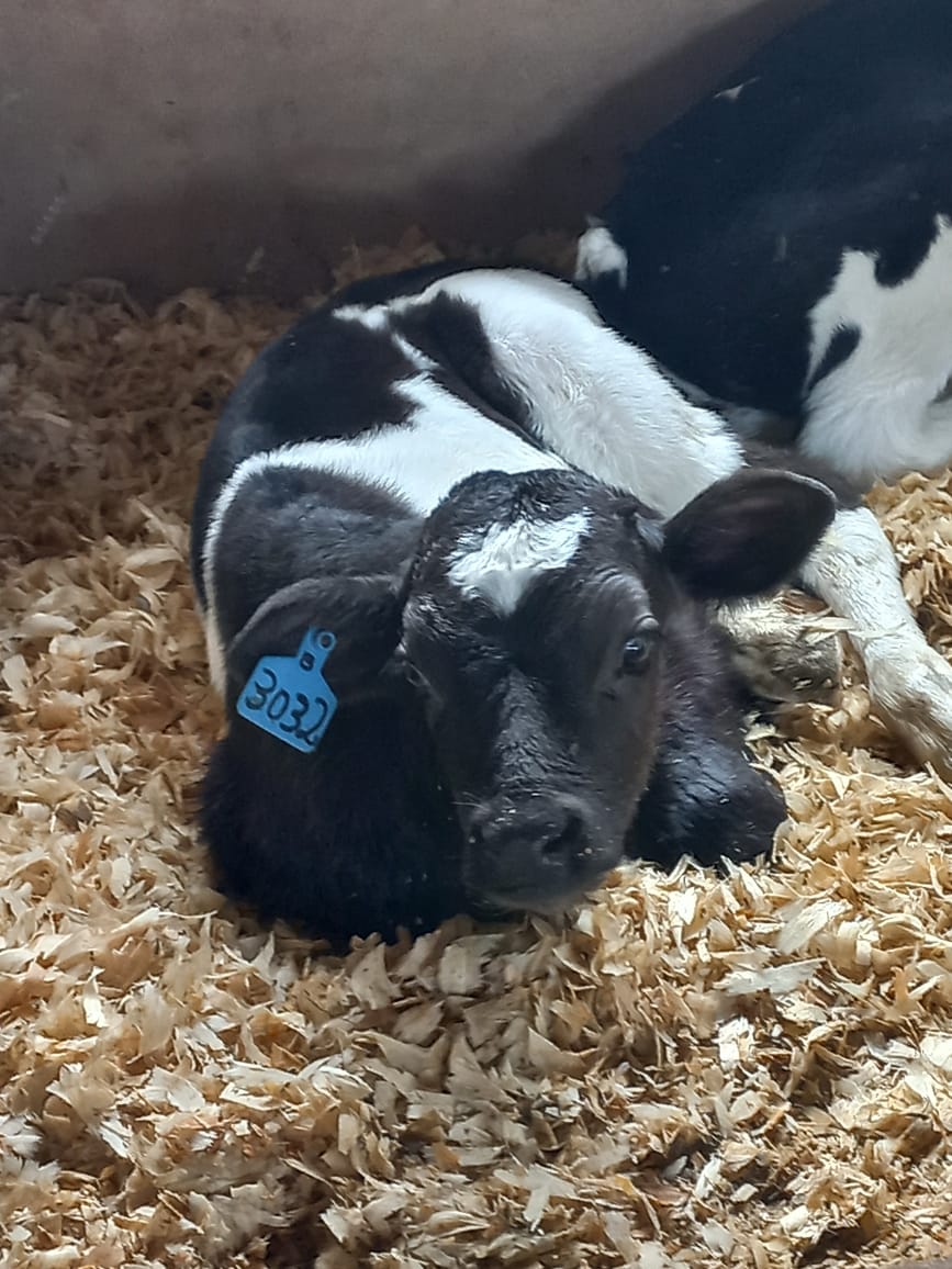 Lot 47 Apr 23