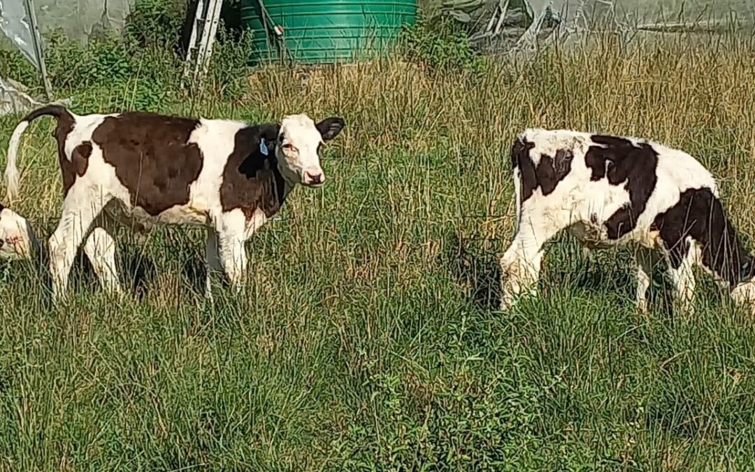 Lot 16 Apr 23
