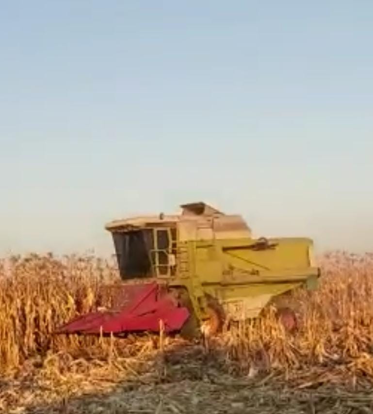 Lot 78 Apr 23
