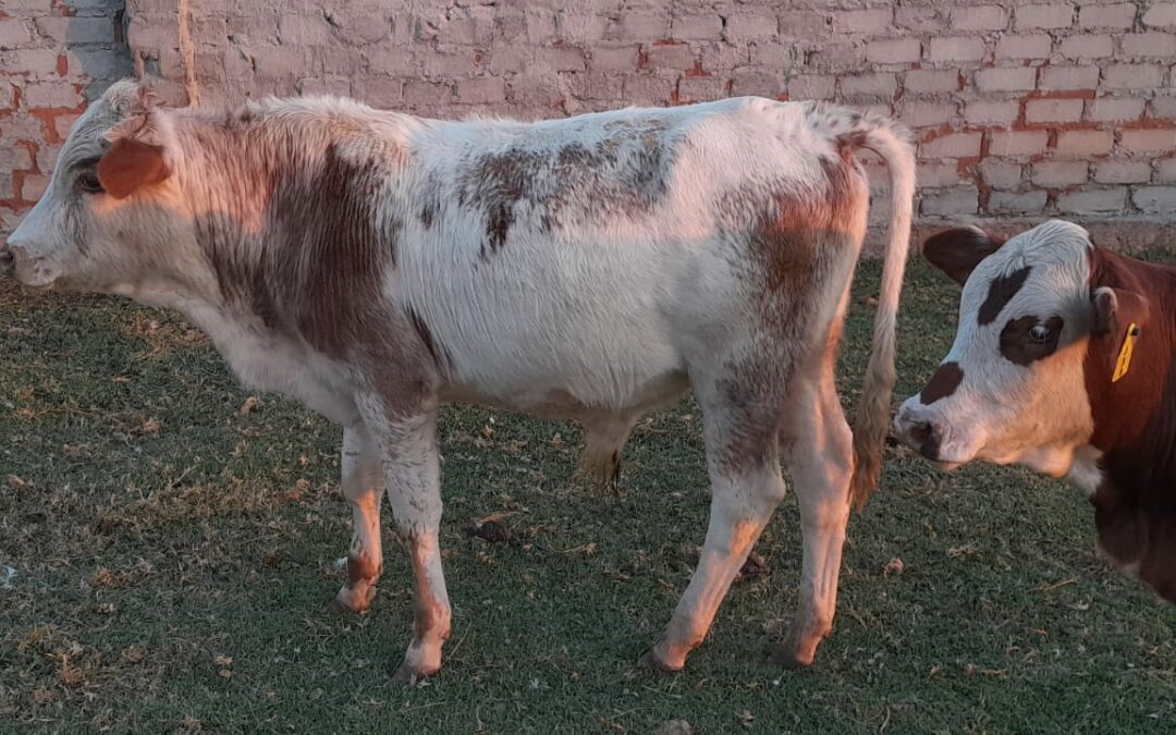 Lot 107 Apr 23