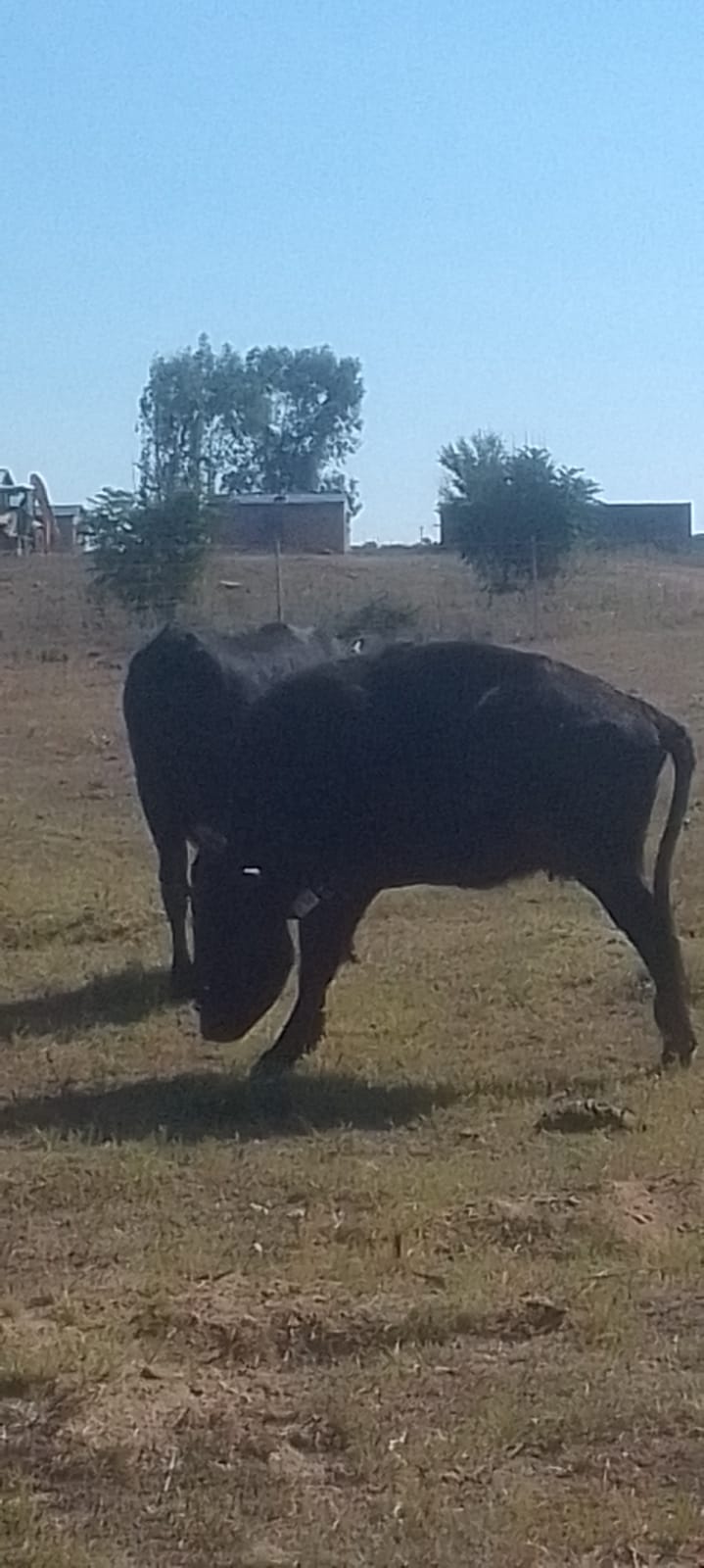 Lot 14 May 23