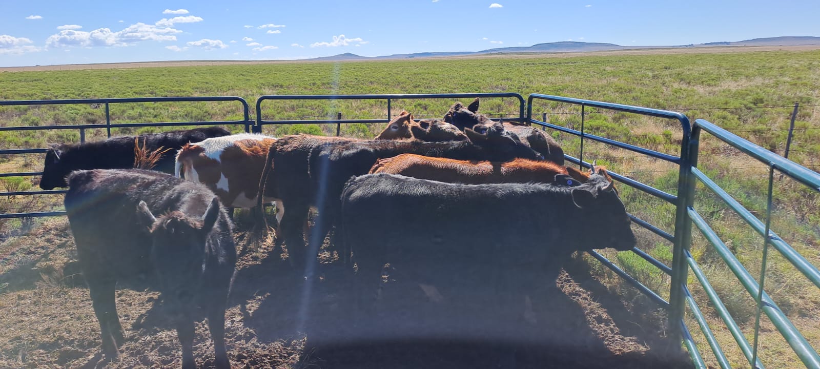 Lot 83 May 23