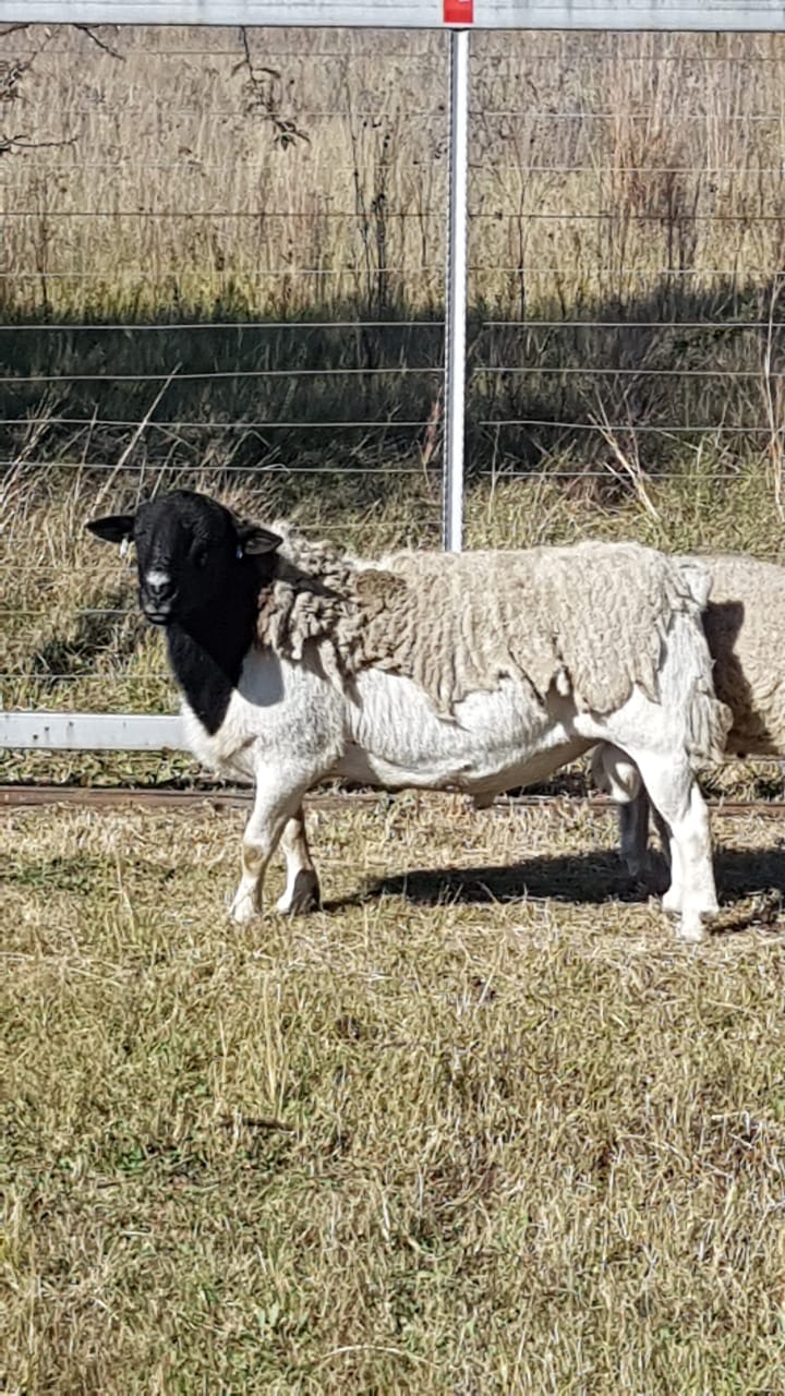 Lot 14 Jun 23