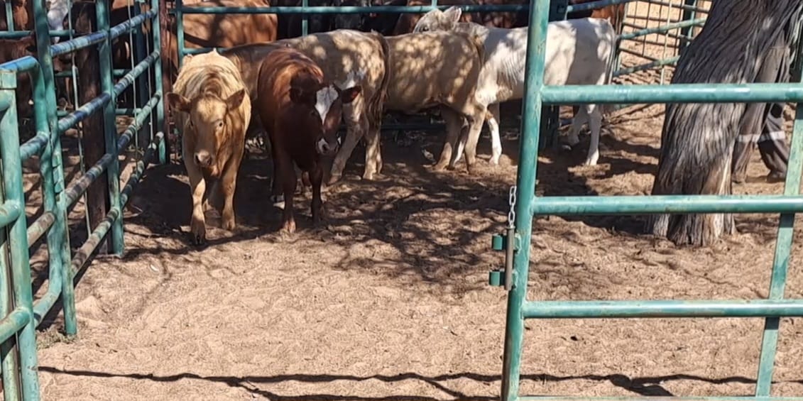 Lot 24 Jun 23