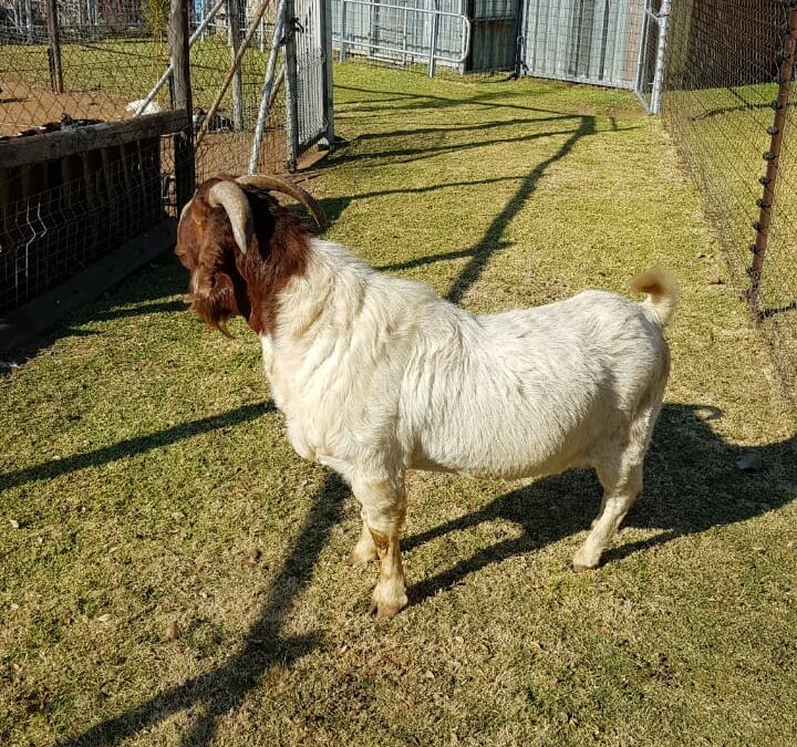 Lot 59 Jun 23