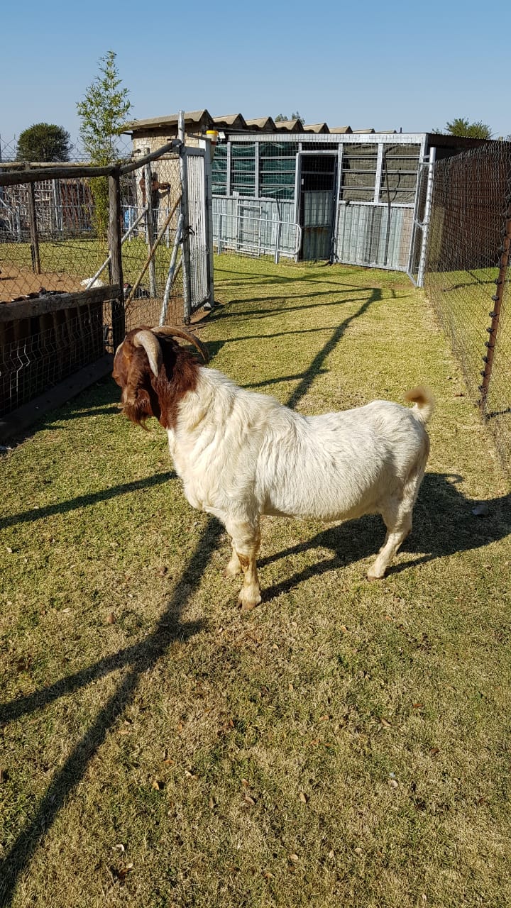 Lot 59 Jun 23