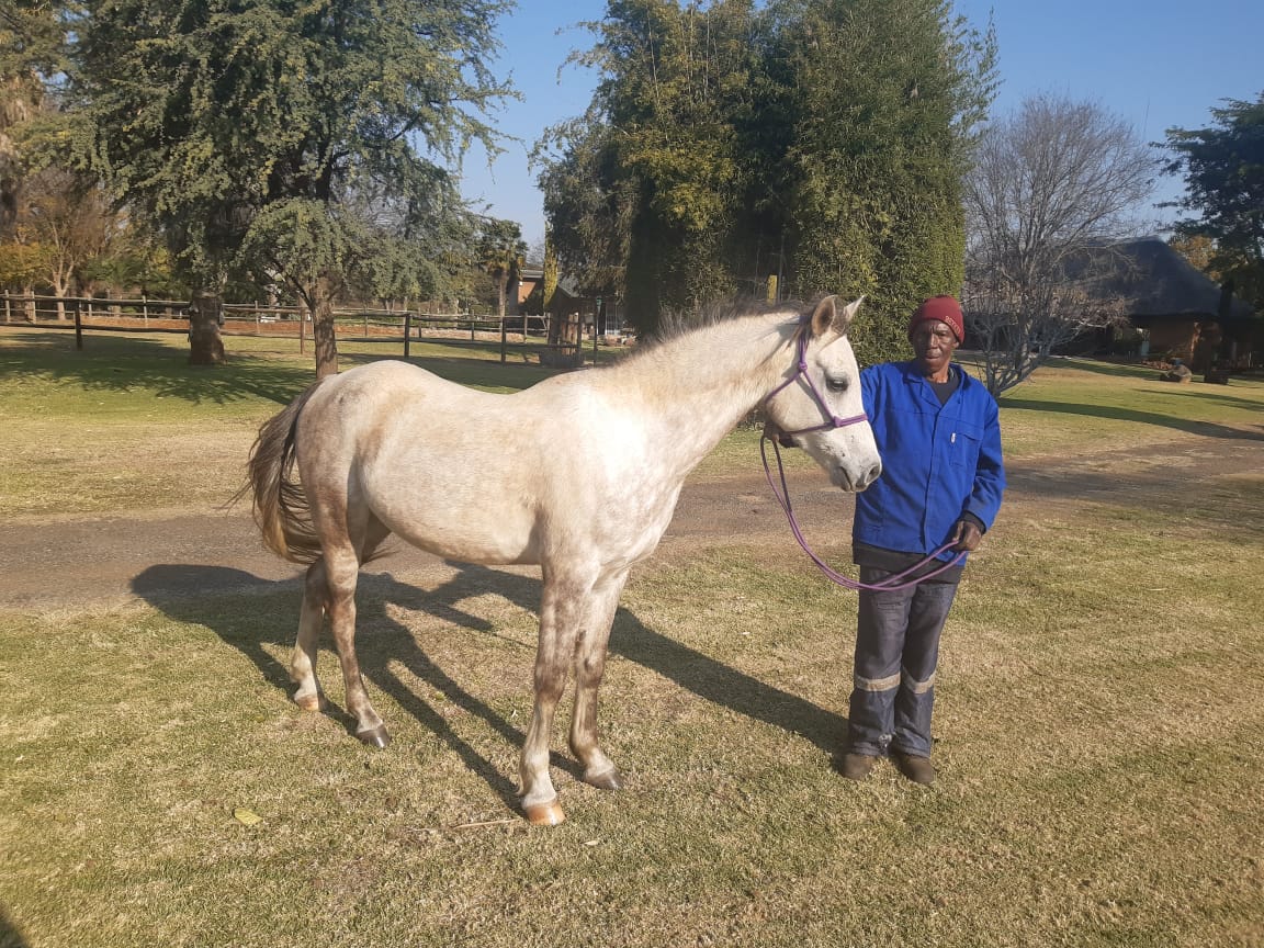 Lot 58 Jun 23