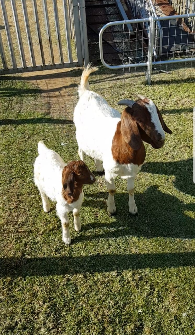 Lot 60 Jun 23