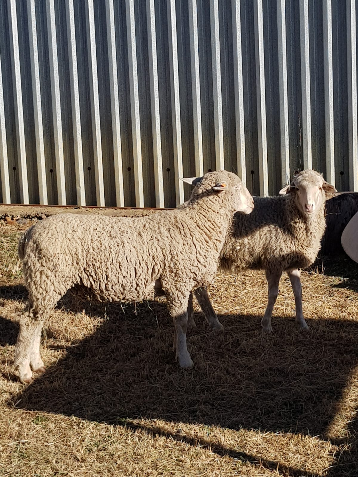 Lot 67 Jun 23