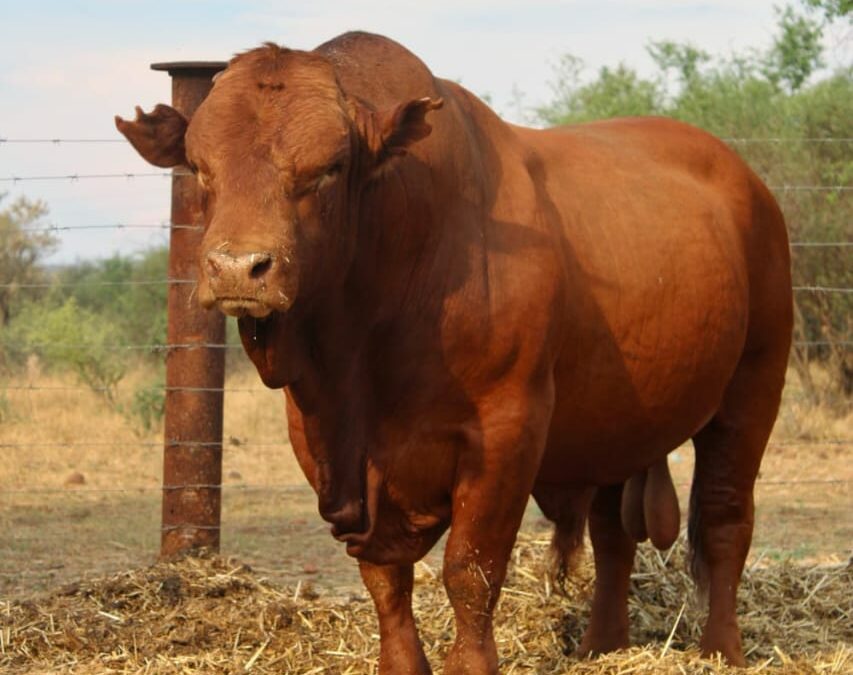 Lot 130 Jun 23