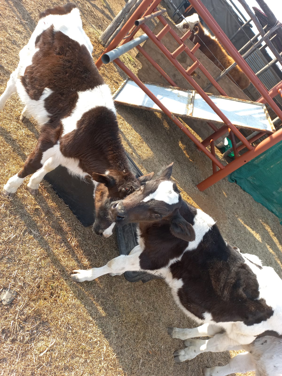 Lot 16 Jul 23