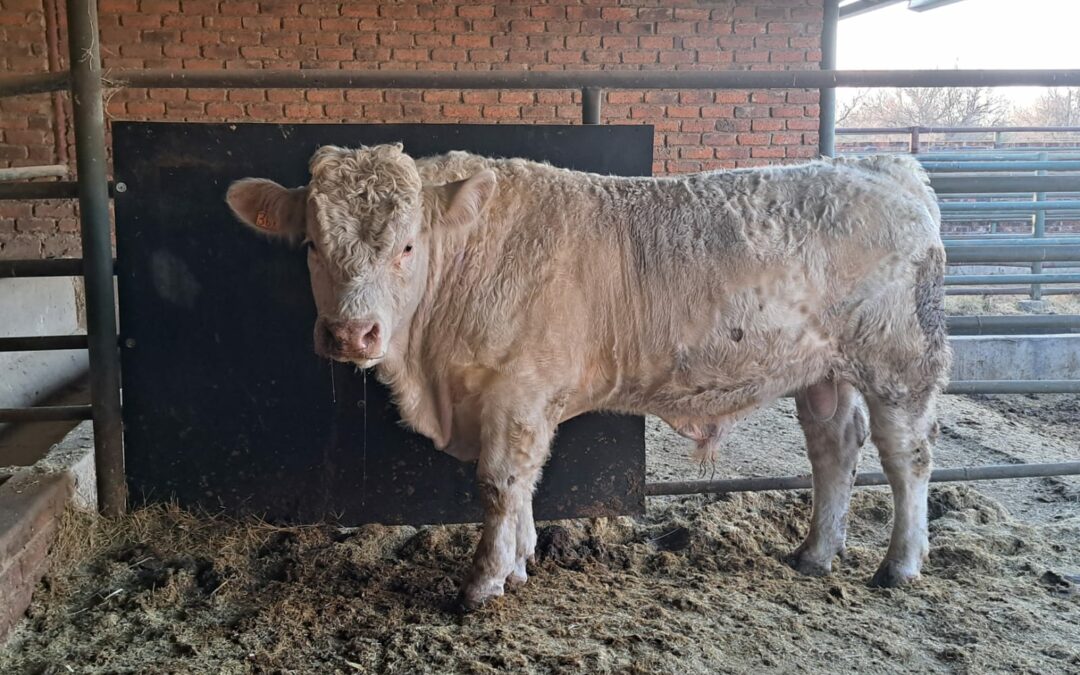 Lot 74 Jul 23