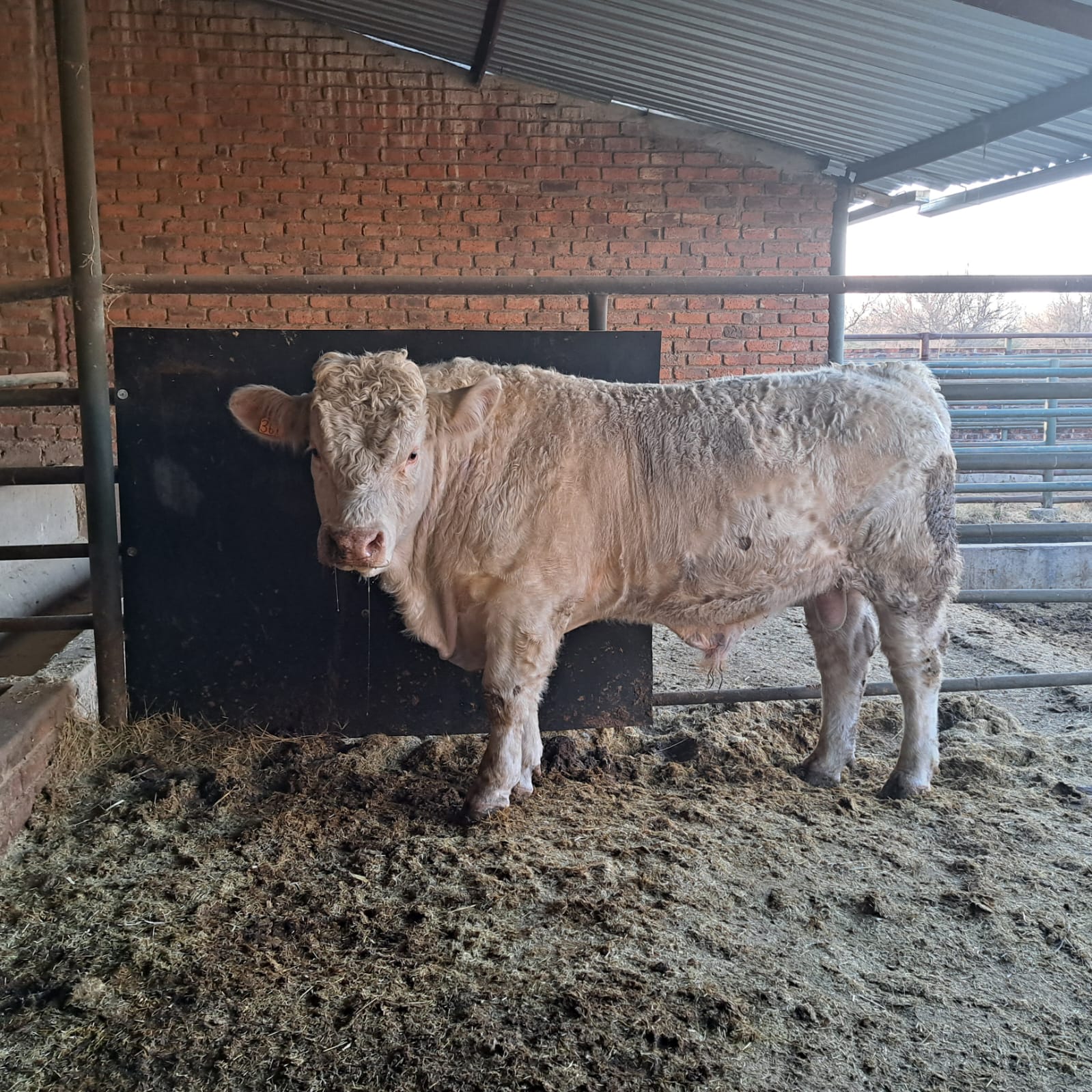Lot 74 Jul 23