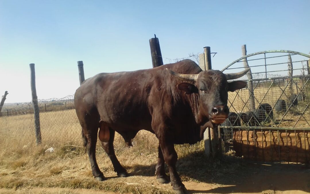 Lot 61 Aug 23