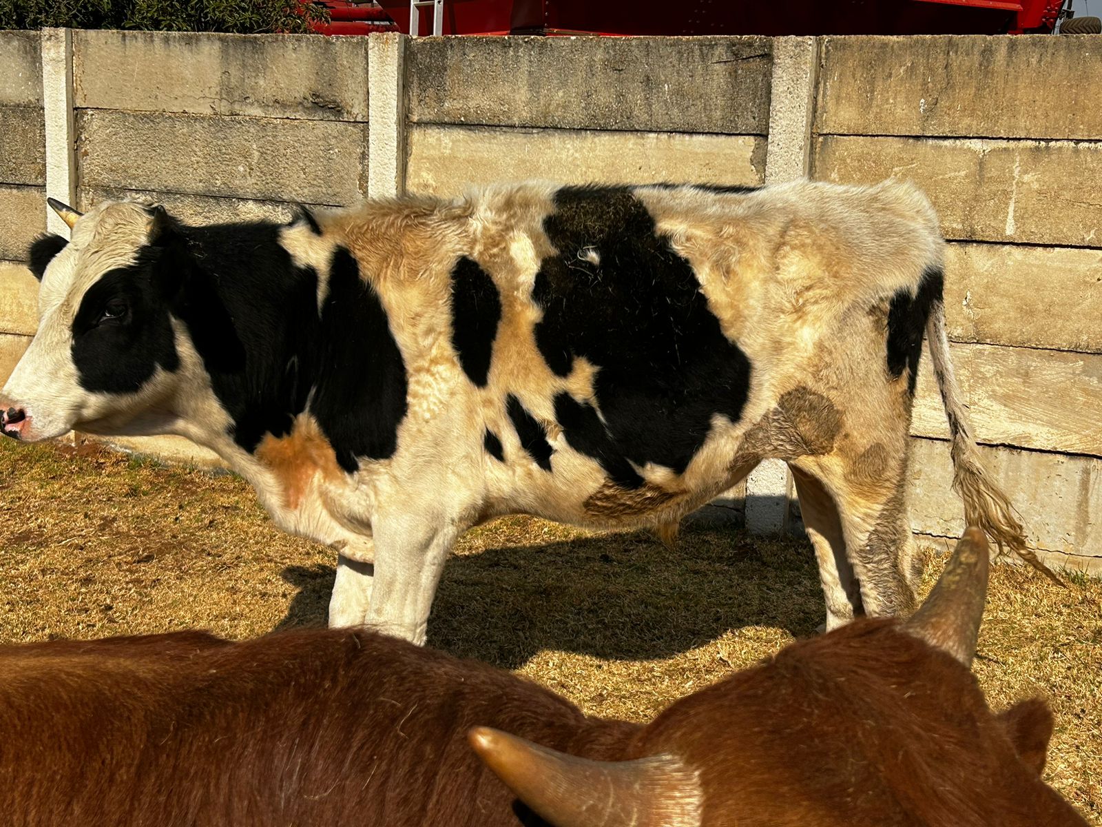 Lot 38 Aug 23