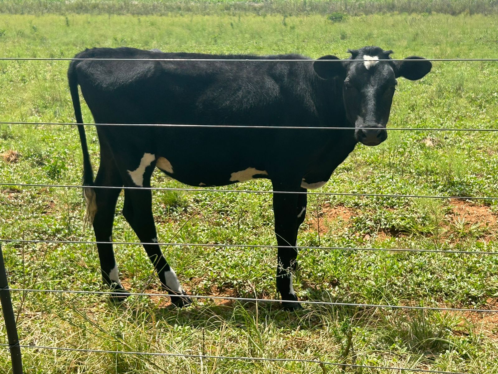 Lot 18 Jun 23