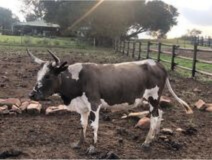 Lot 71 Apr 23